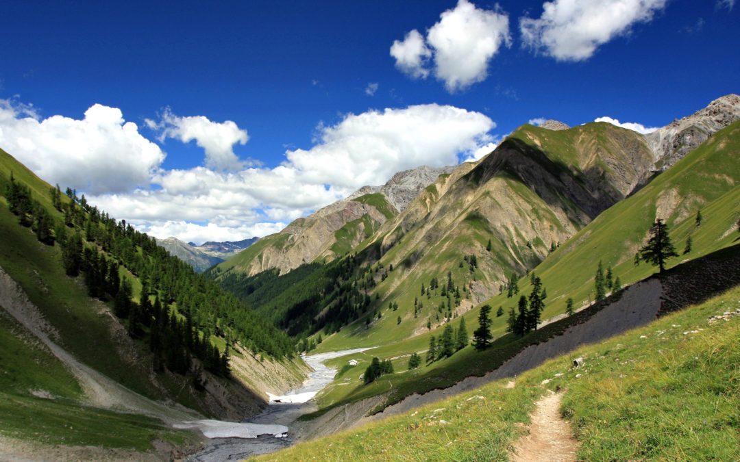 Droit de l&rsquo;environnement vs droit à un environnement sain